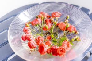 Sonstiges_1