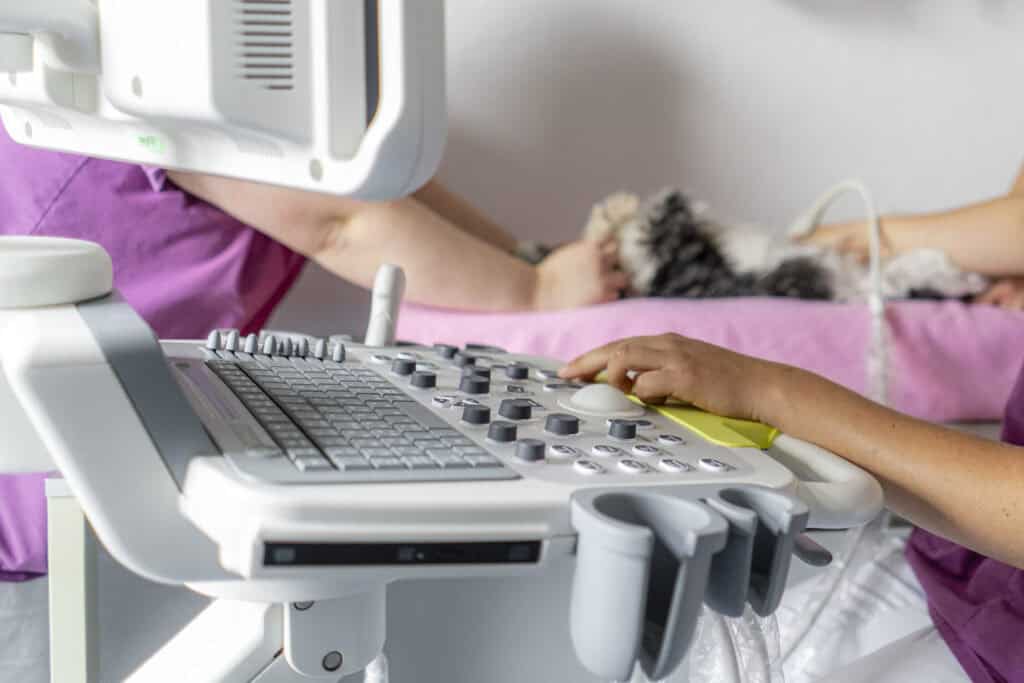 Ultraschalluntersuchung